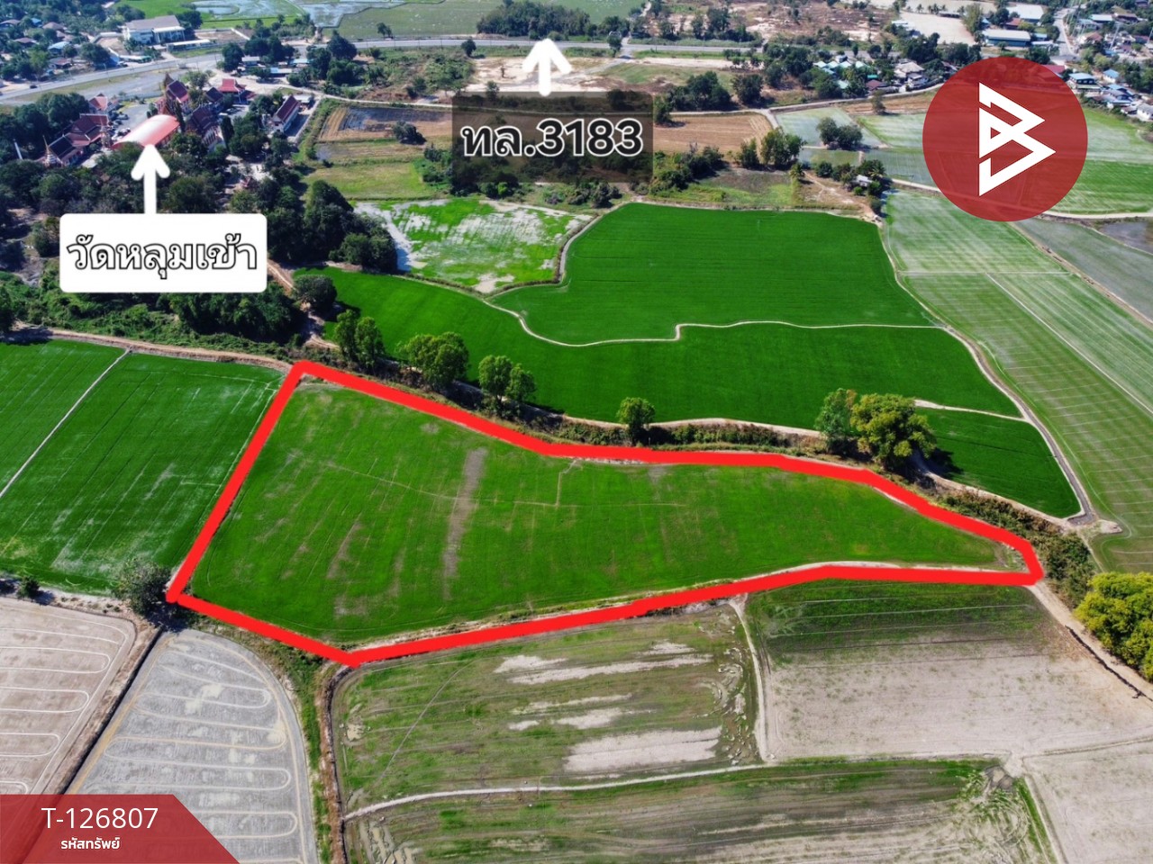 ขายที่ดิน เนื้อที่ 1 ไร่ 3งาน 47 ตร.วา หนองขาหย่าง อุทัยธานี 6