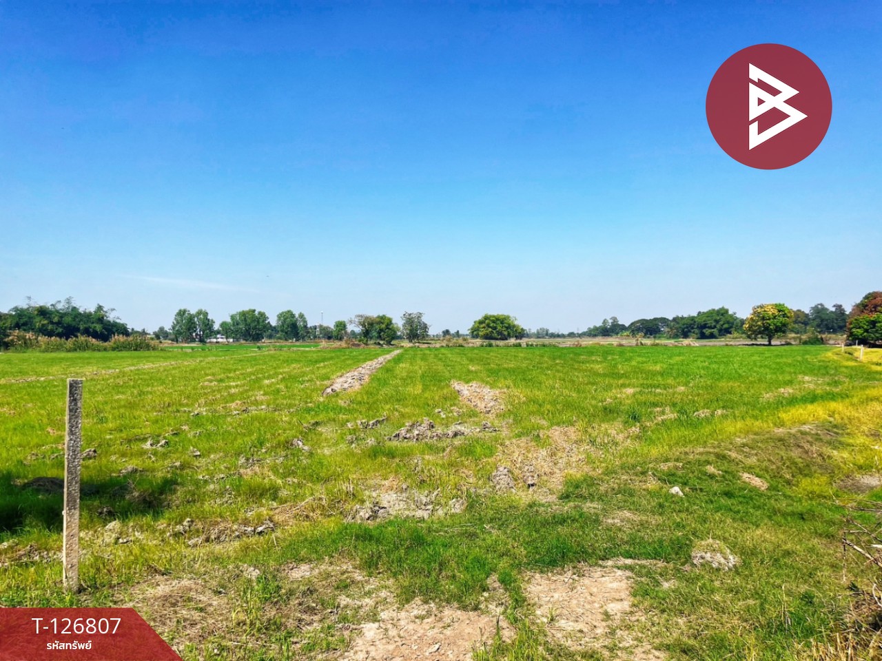 ขายที่ดิน เนื้อที่ 1 ไร่ 3งาน 47 ตร.วา หนองขาหย่าง อุทัยธานี 3