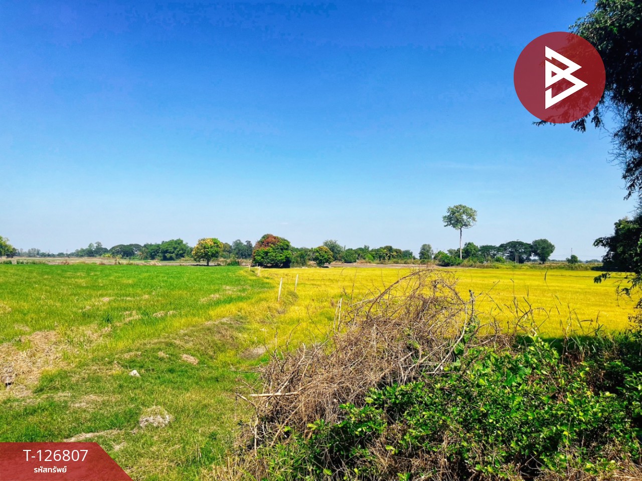 ขายที่ดิน เนื้อที่ 1 ไร่ 3งาน 47 ตร.วา หนองขาหย่าง อุทัยธานี 1
