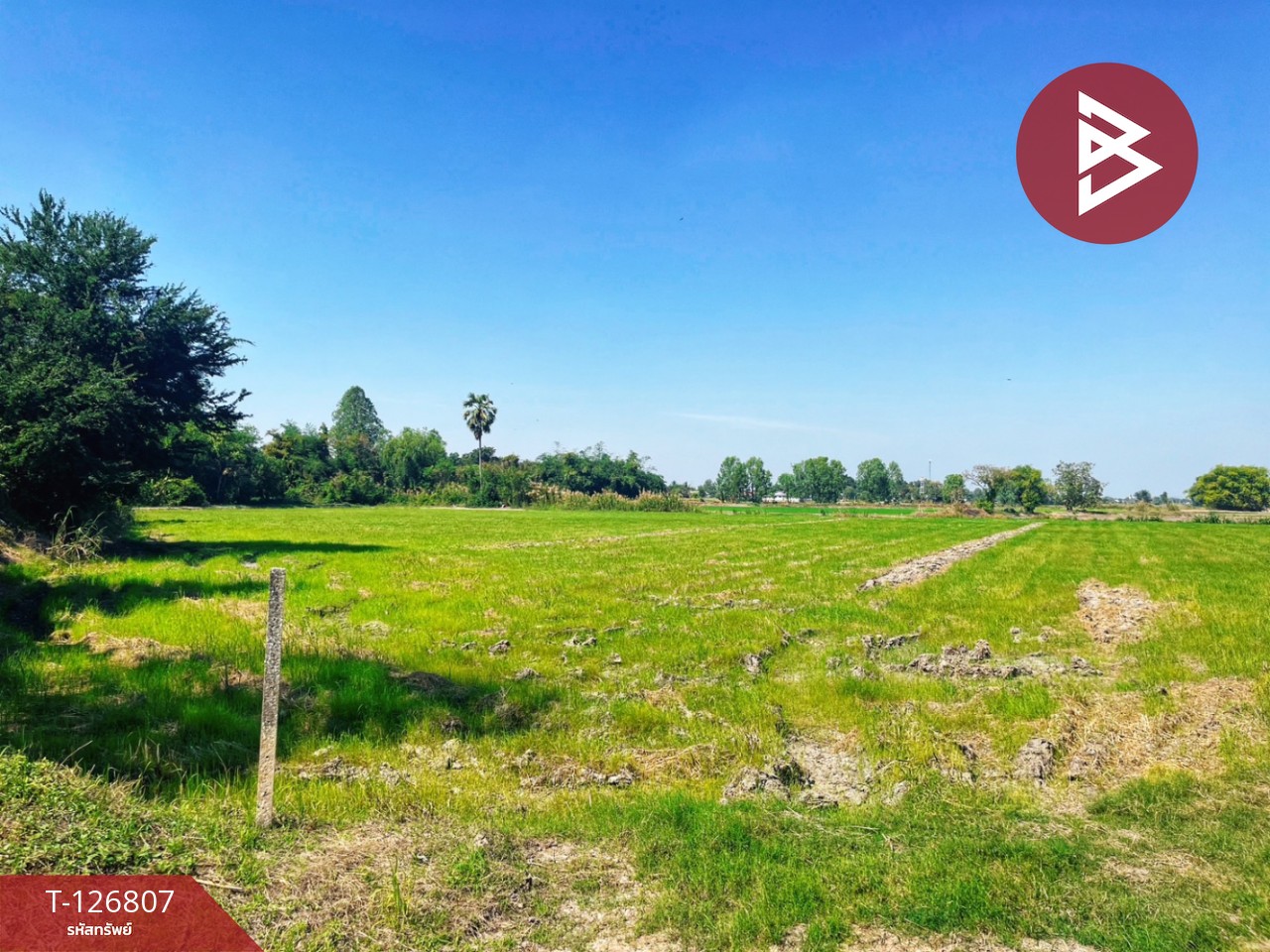 ขายที่ดิน เนื้อที่ 1 ไร่ 3งาน 47 ตร.วา หนองขาหย่าง อุทัยธานี 4