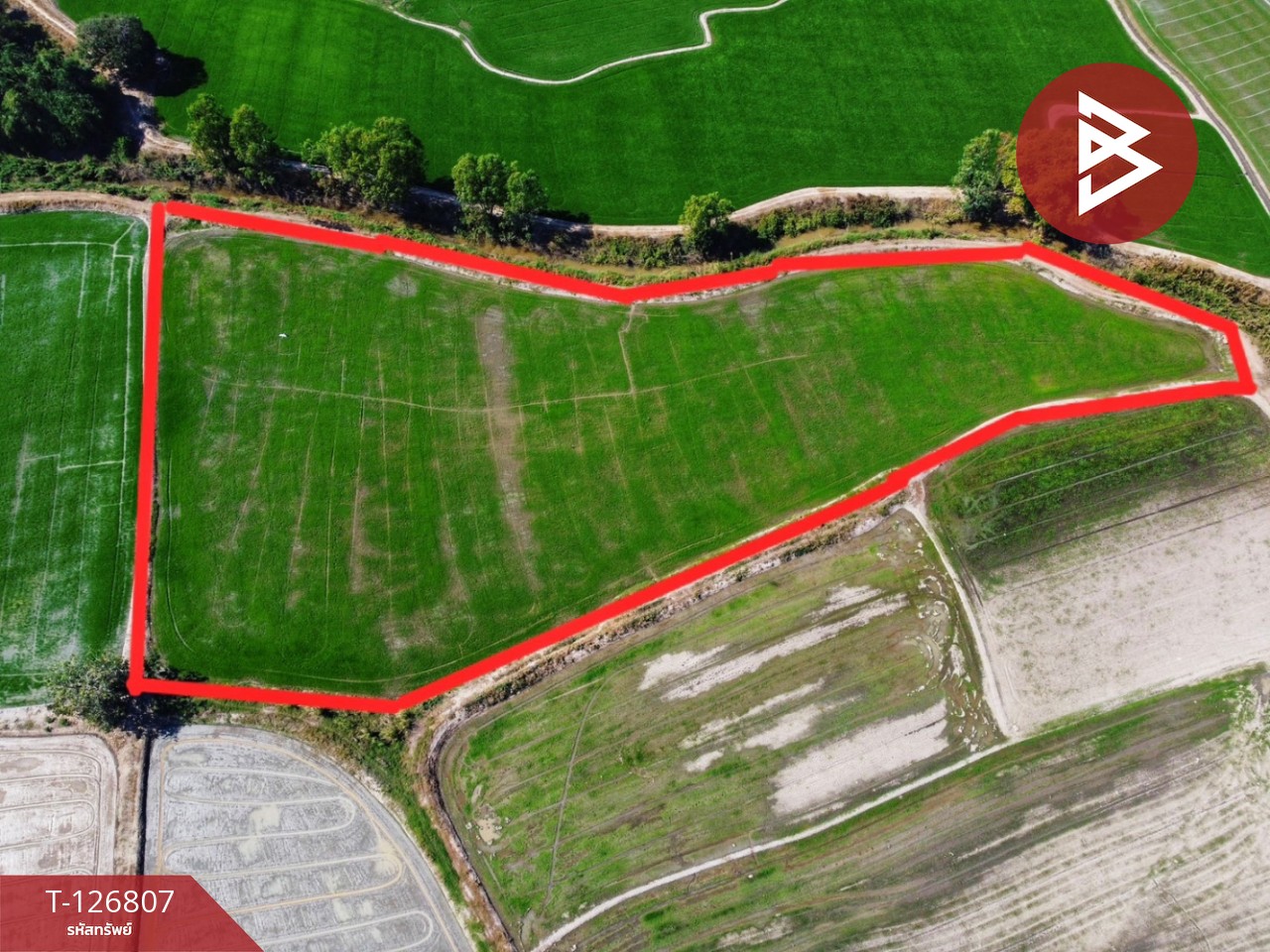 ขายที่ดิน เนื้อที่ 1 ไร่ 3งาน 47 ตร.วา หนองขาหย่าง อุทัยธานี 5