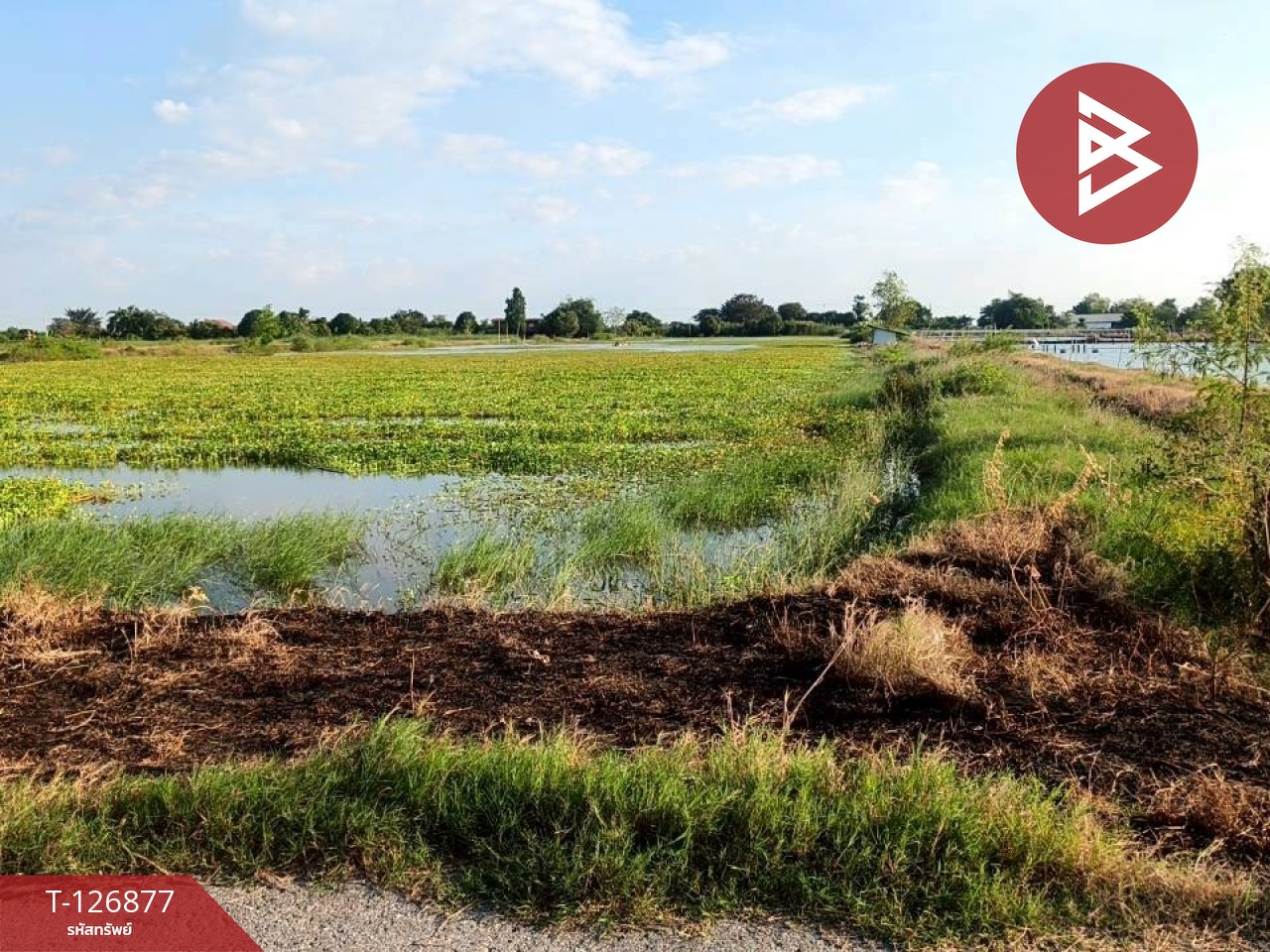 ขายที่ดิน เนื้อที่ 2 ไร่ 3 งาน บางเลน นครปฐม 3