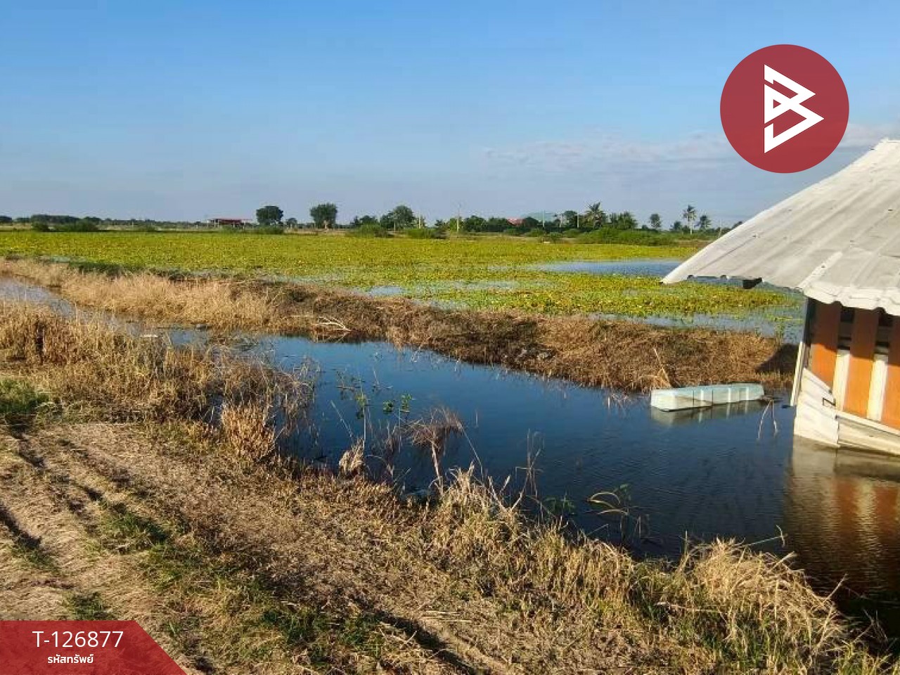 ขายที่ดิน เนื้อที่ 2 ไร่ 3 งาน บางเลน นครปฐม 6