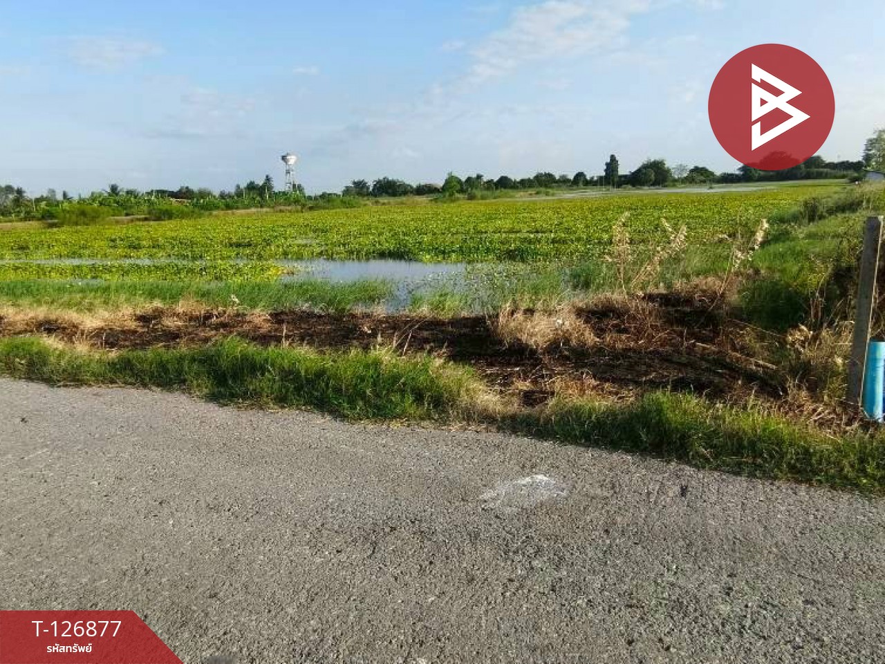 ขายที่ดิน เนื้อที่ 2 ไร่ 3 งาน บางเลน นครปฐม 5