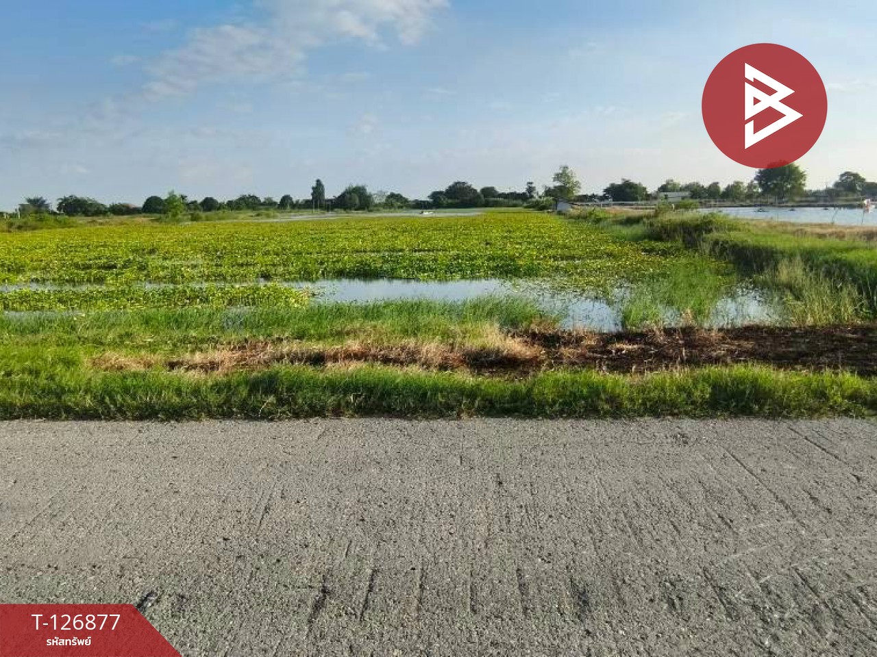 ขายที่ดิน เนื้อที่ 2 ไร่ 3 งาน บางเลน นครปฐม 4