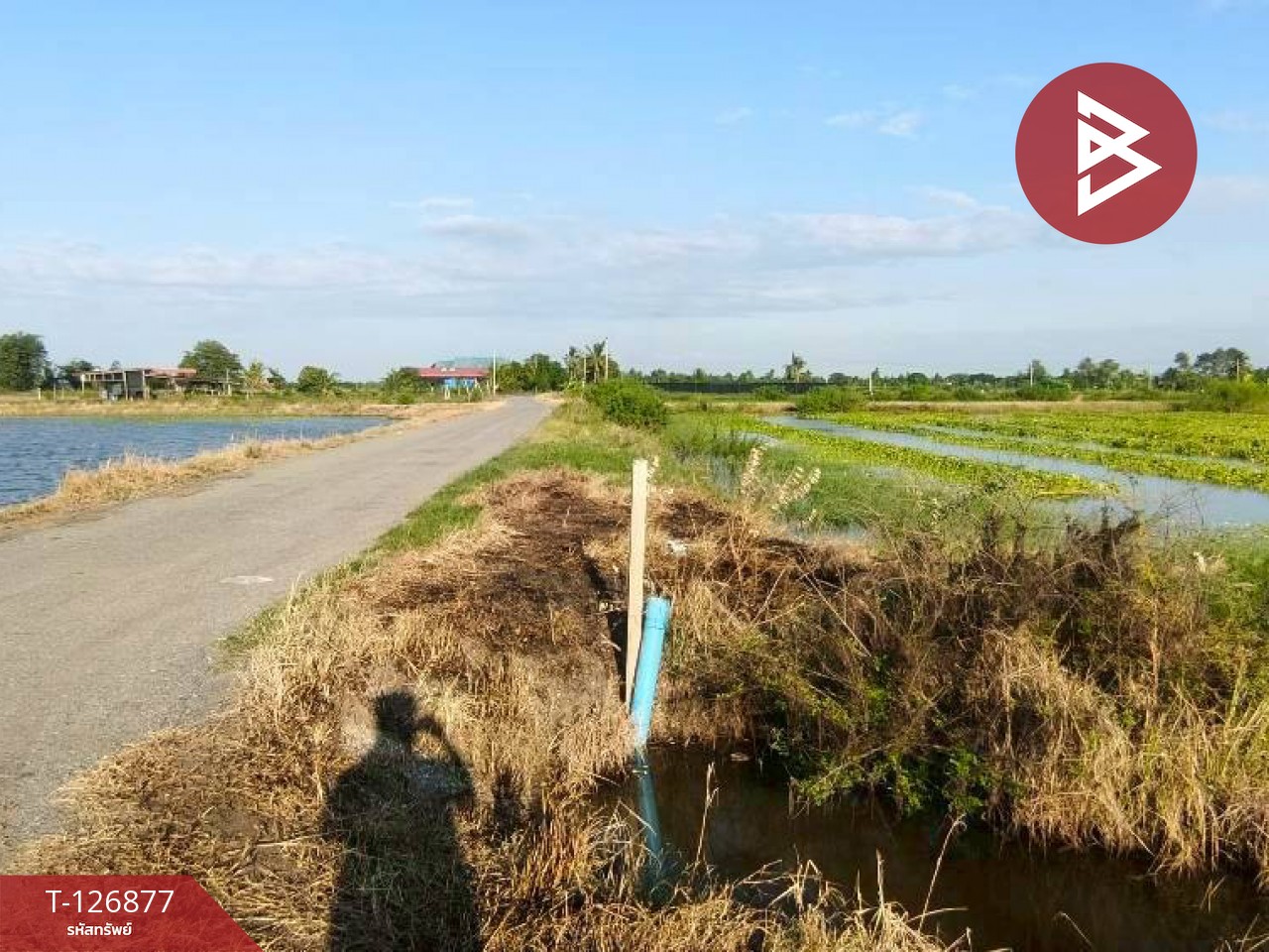 ขายที่ดิน เนื้อที่ 2 ไร่ 3 งาน บางเลน นครปฐม 11