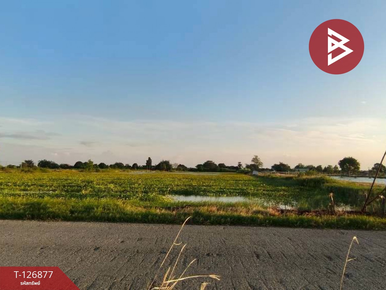 ขายที่ดิน เนื้อที่ 2 ไร่ 3 งาน บางเลน นครปฐม 8