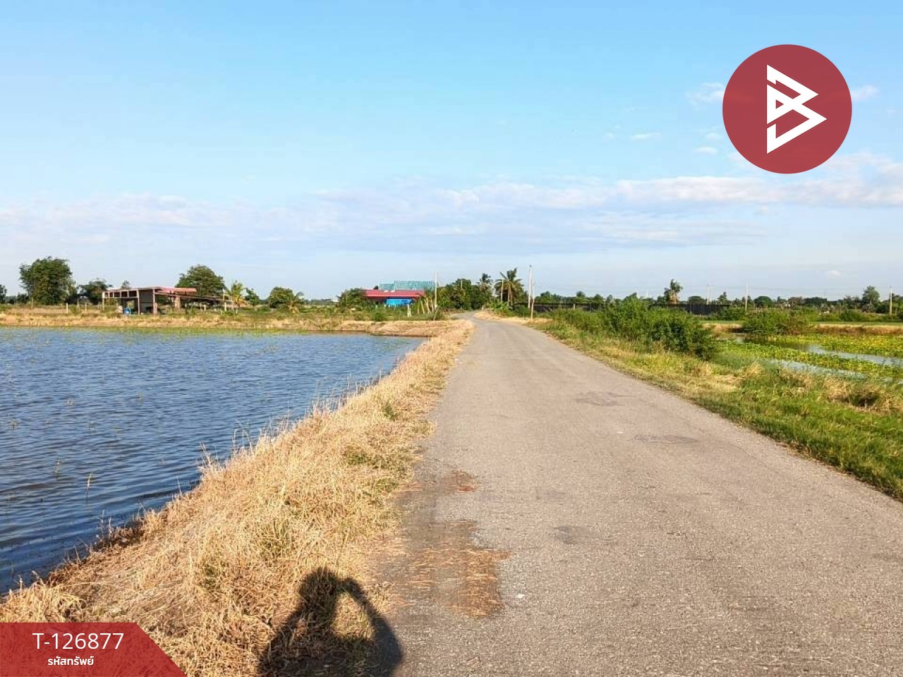 ขายที่ดิน เนื้อที่ 2 ไร่ 3 งาน บางเลน นครปฐม 10