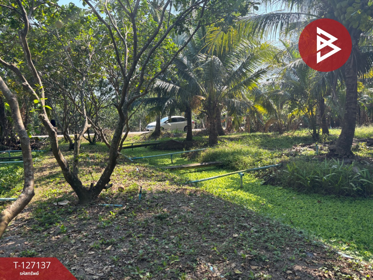 ขายที่ดิน เนื้อที่ 2 ไร่ 1 งาน 74.2 ตารางวา อ.อัมพวา สมุทรสงคราม 4