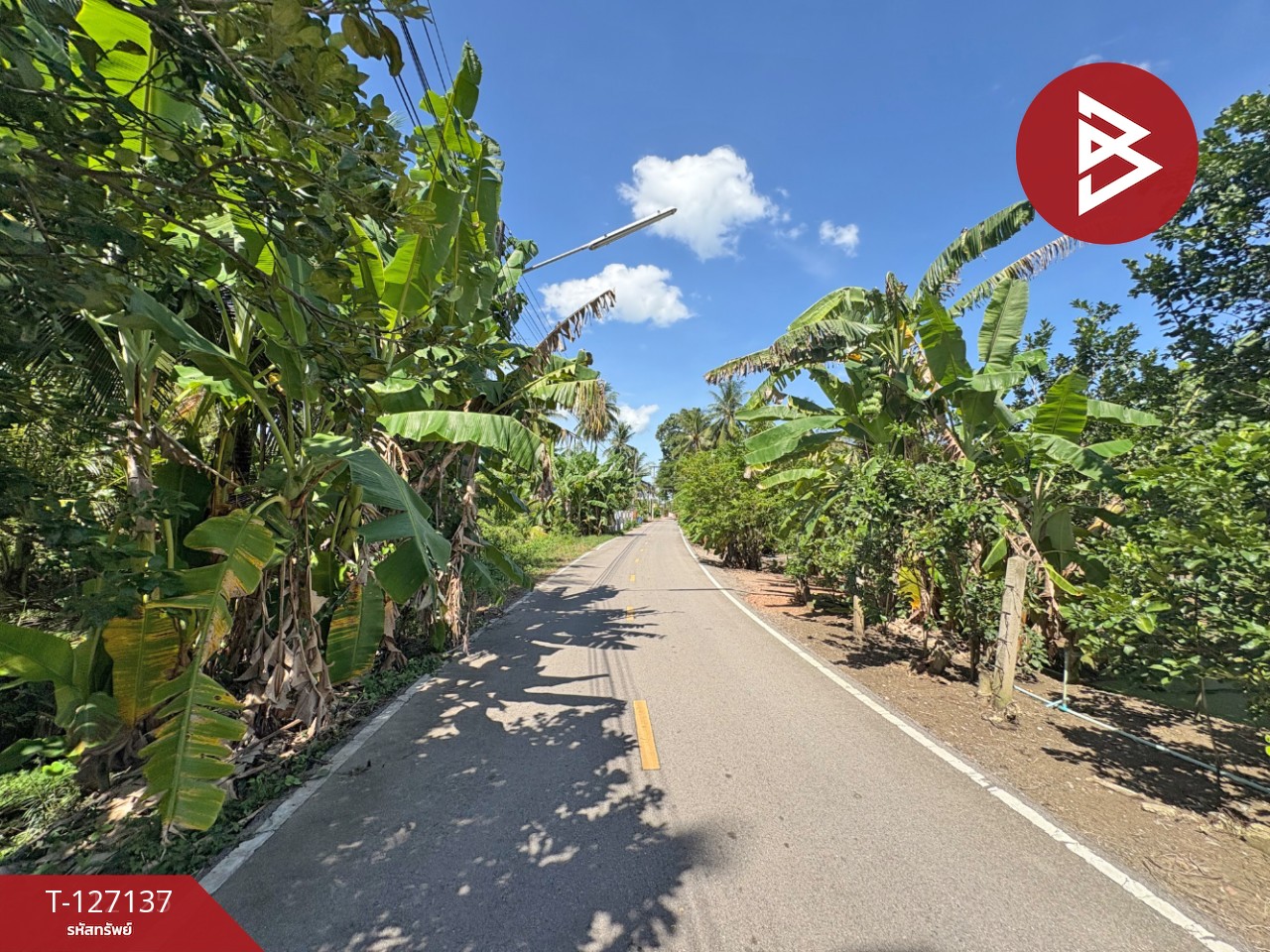 ขายที่ดิน เนื้อที่ 2 ไร่ 1 งาน 74.2 ตารางวา อ.อัมพวา สมุทรสงคราม 12