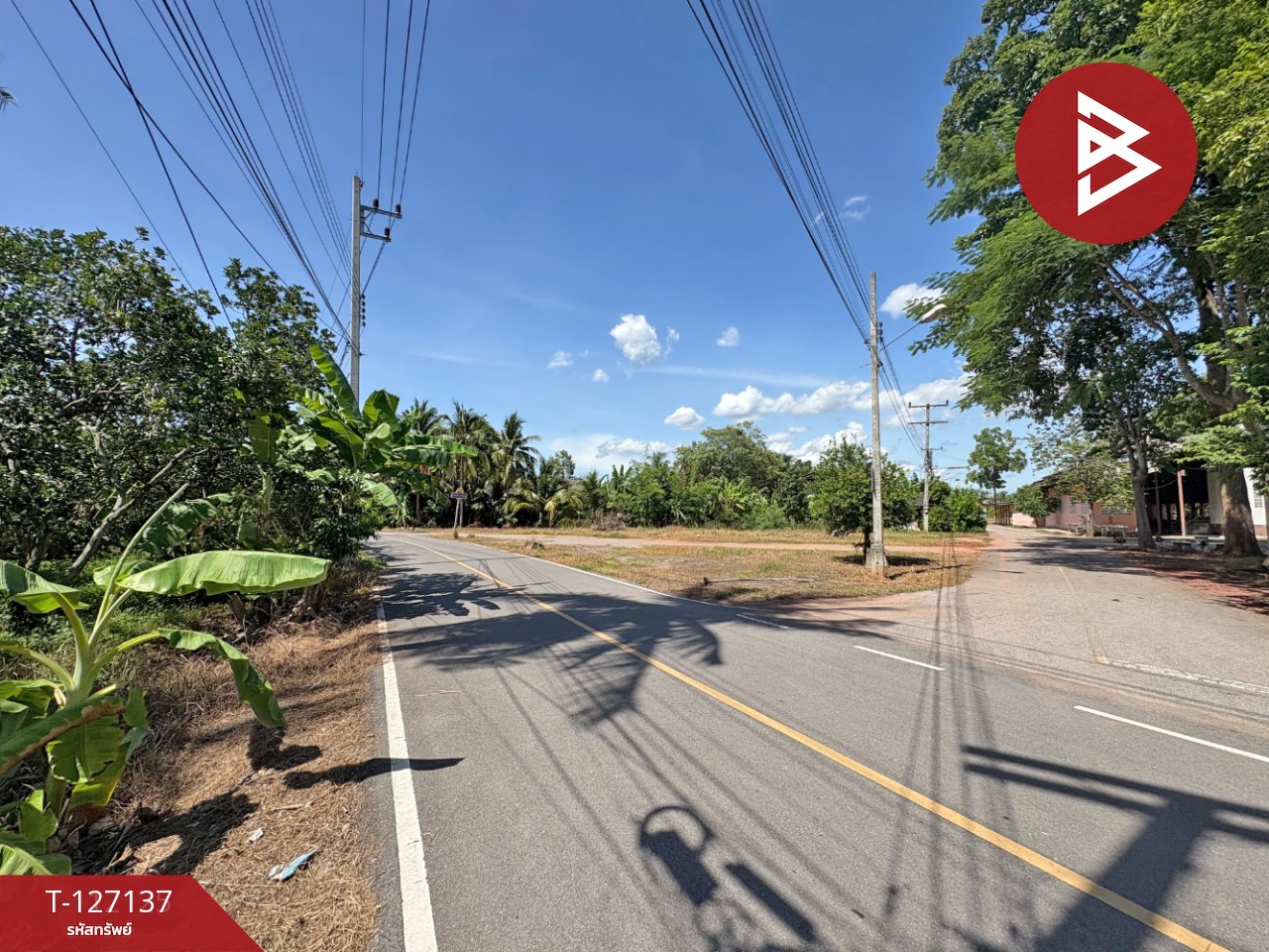 ขายที่ดิน เนื้อที่ 2 ไร่ 1 งาน 74.2 ตารางวา อ.อัมพวา สมุทรสงคราม 11