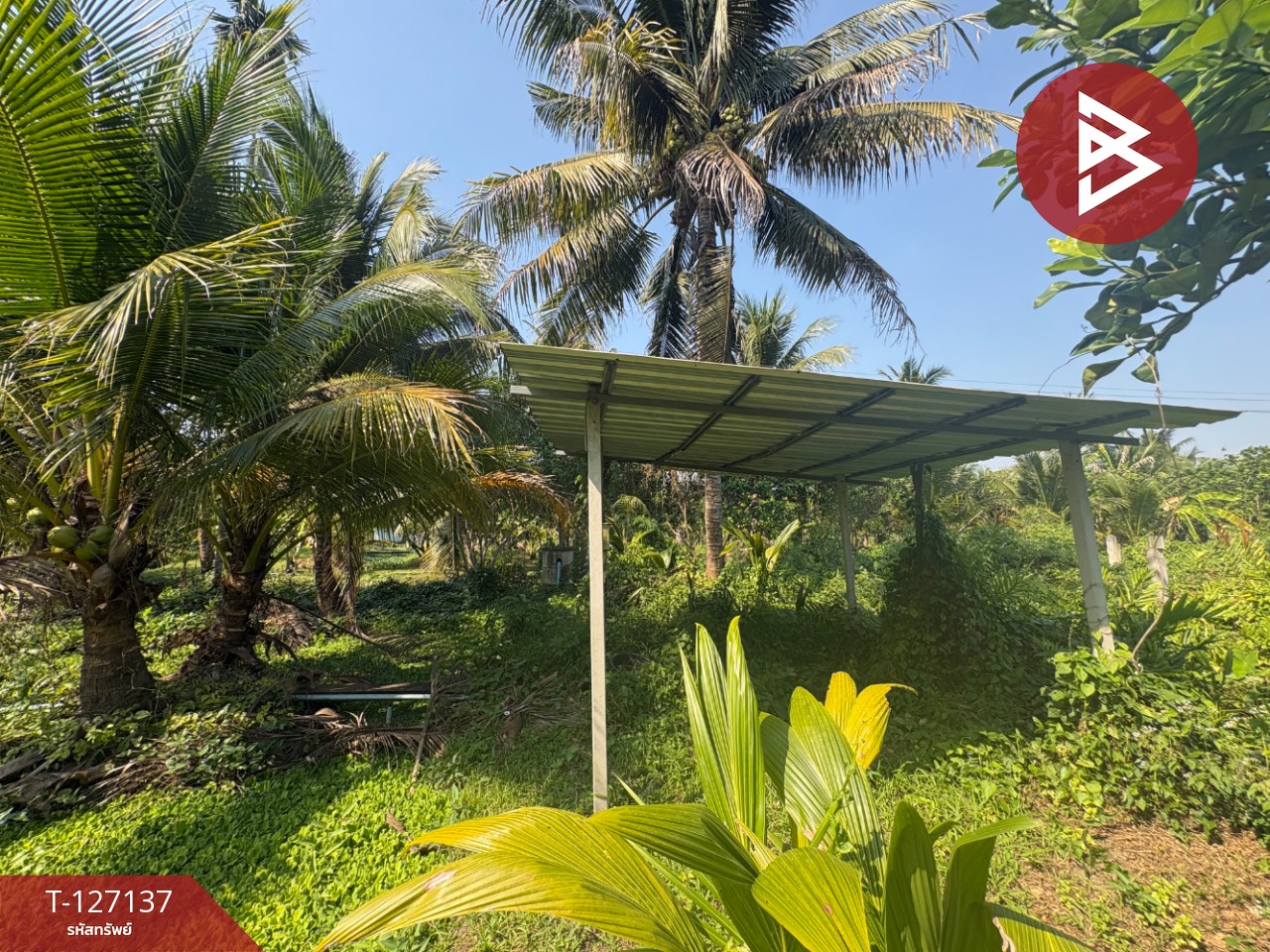 ขายที่ดิน เนื้อที่ 2 ไร่ 1 งาน 74.2 ตารางวา อ.อัมพวา สมุทรสงคราม 7