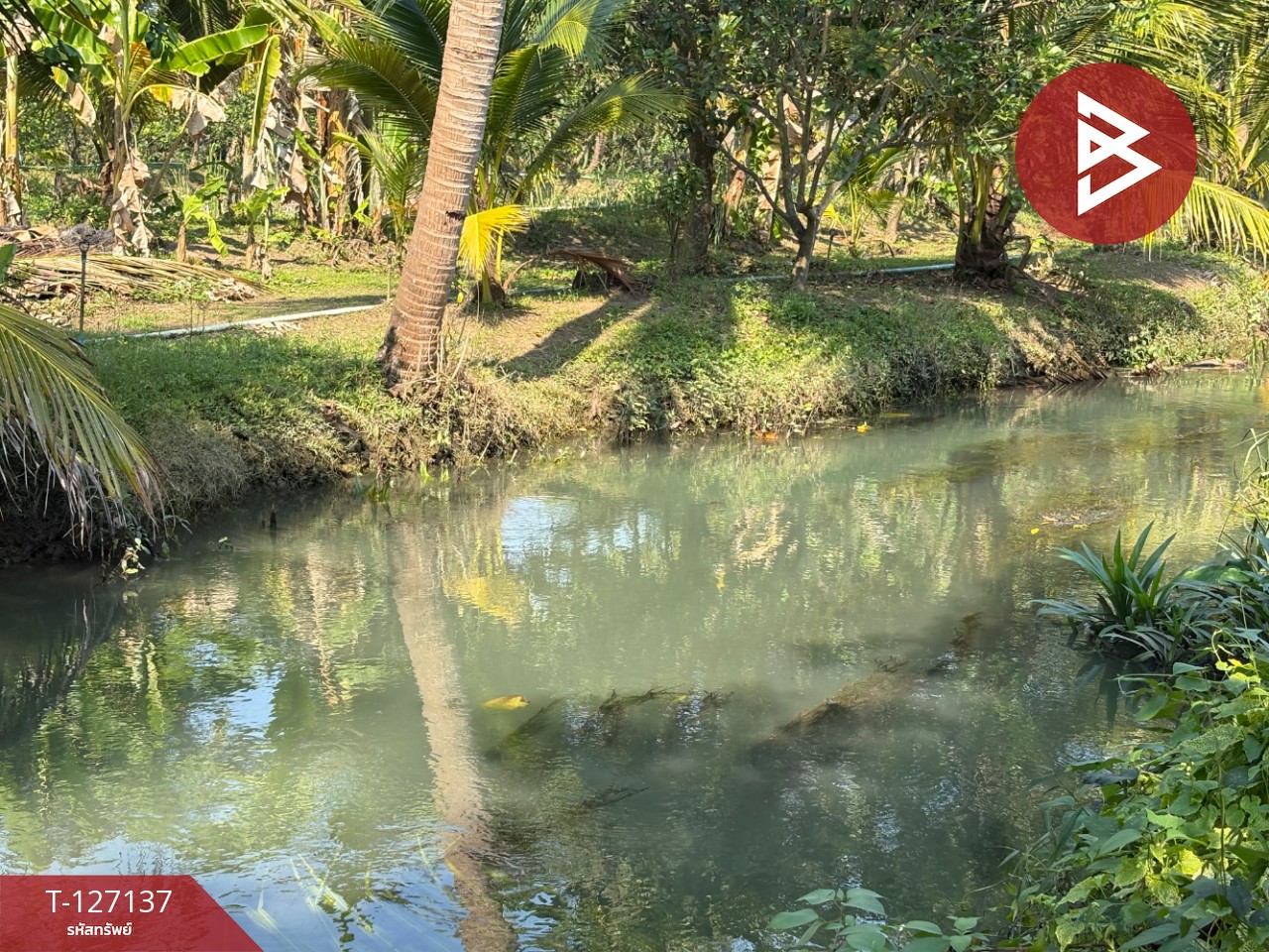 ขายที่ดิน เนื้อที่ 2 ไร่ 1 งาน 74.2 ตารางวา อ.อัมพวา สมุทรสงคราม 9