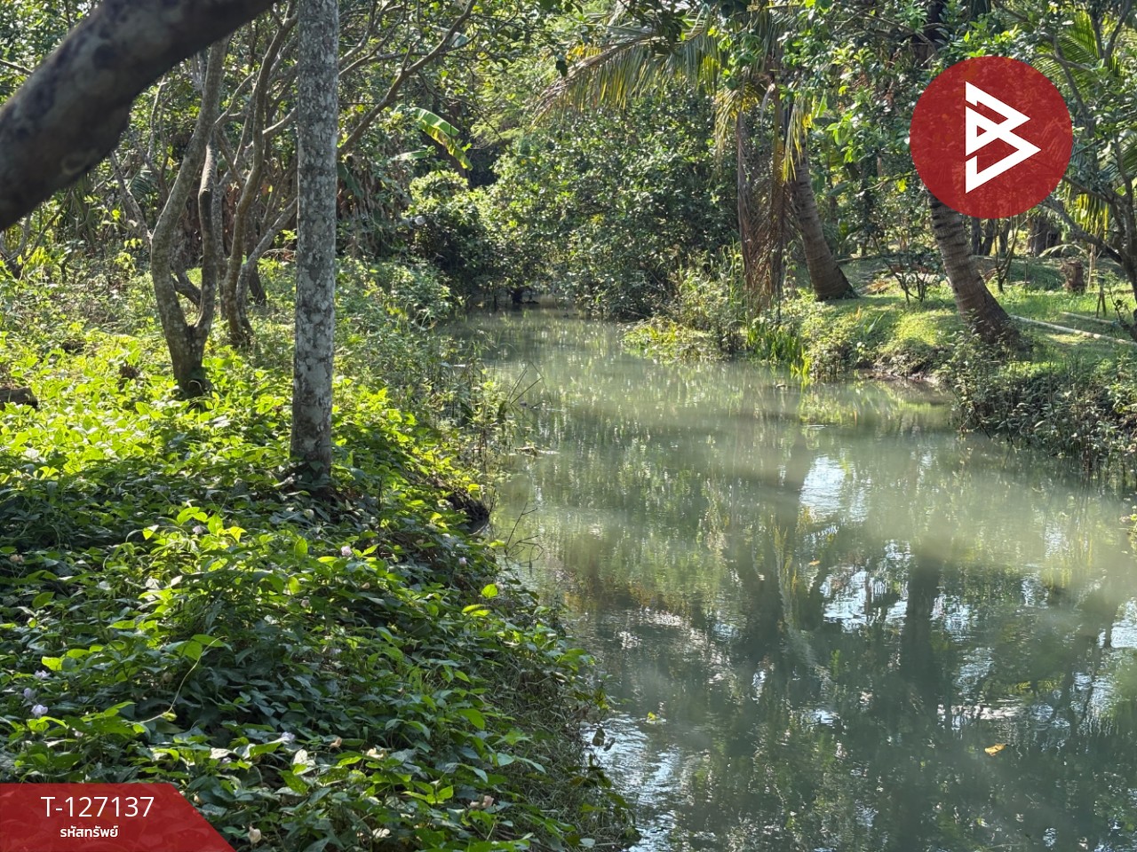 ขายที่ดิน เนื้อที่ 2 ไร่ 1 งาน 74.2 ตารางวา อ.อัมพวา สมุทรสงคราม 8