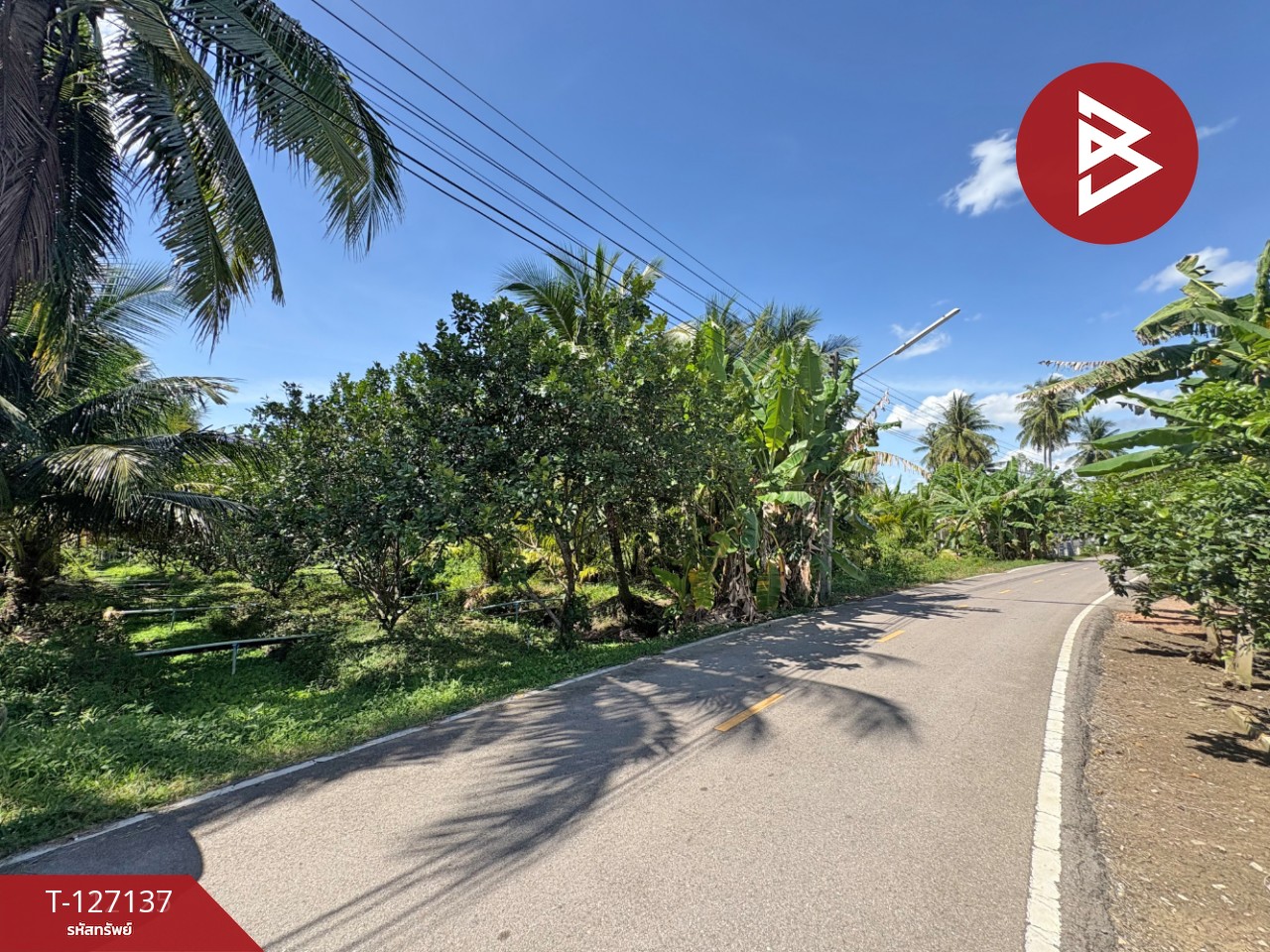 ขายที่ดิน เนื้อที่ 2 ไร่ 1 งาน 74.2 ตารางวา อ.อัมพวา สมุทรสงคราม 13