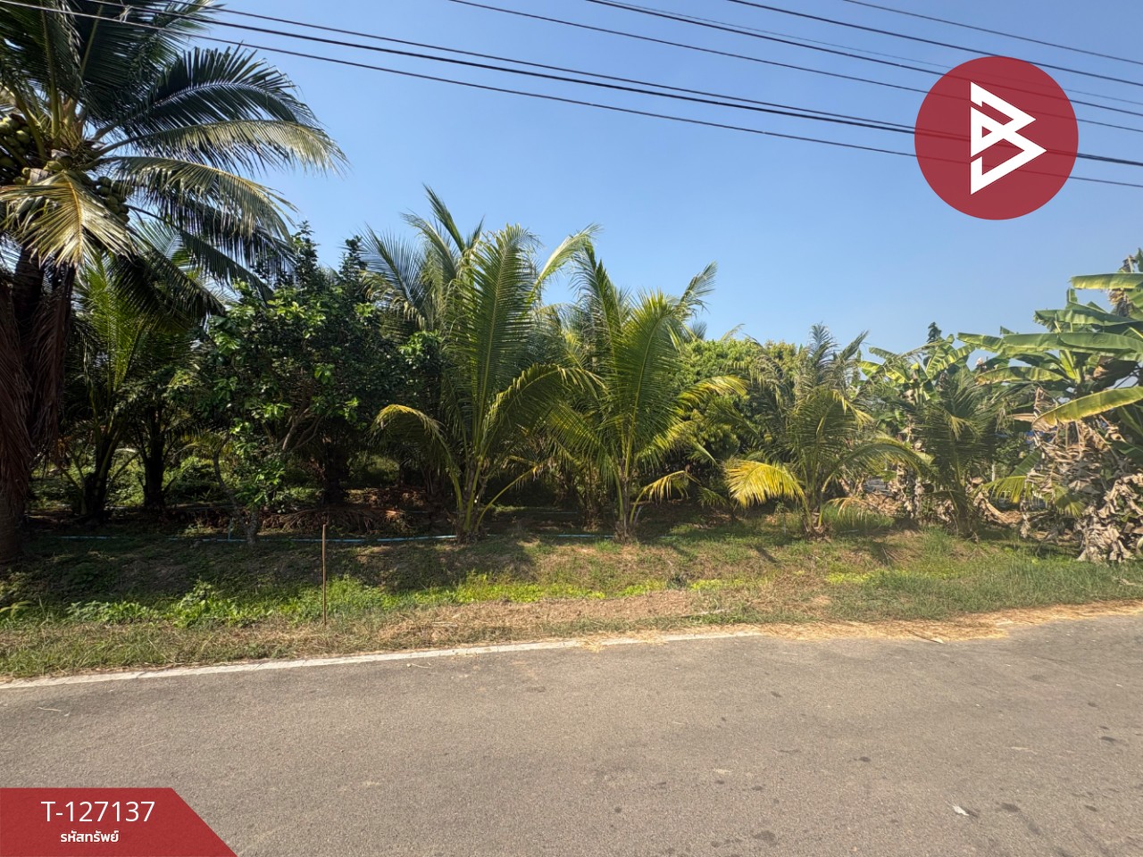 ขายที่ดิน เนื้อที่ 2 ไร่ 1 งาน 74.2 ตารางวา อ.อัมพวา สมุทรสงคราม 10