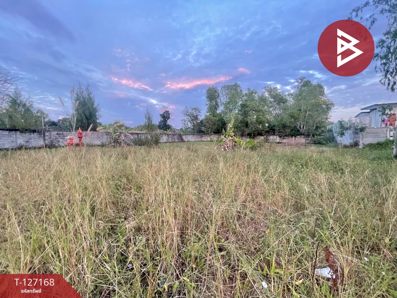 ขายที่ดินแปลงสวย เนื้อที่ 1 ไร่ 6.5 ตารางวา อ.บ้านไผ่ จ.ขอนแก่น  แหล่งชุมชนหนาแน่น 5