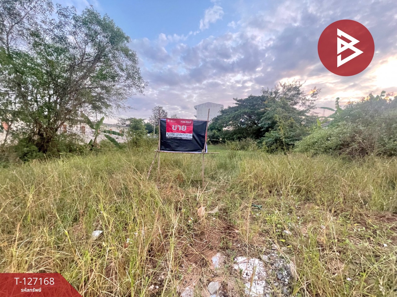 ขายที่ดินแปลงสวย เนื้อที่ 1 ไร่ 6.5 ตารางวา อ.บ้านไผ่ จ.ขอนแก่น  แหล่งชุมชนหนาแน่น 6