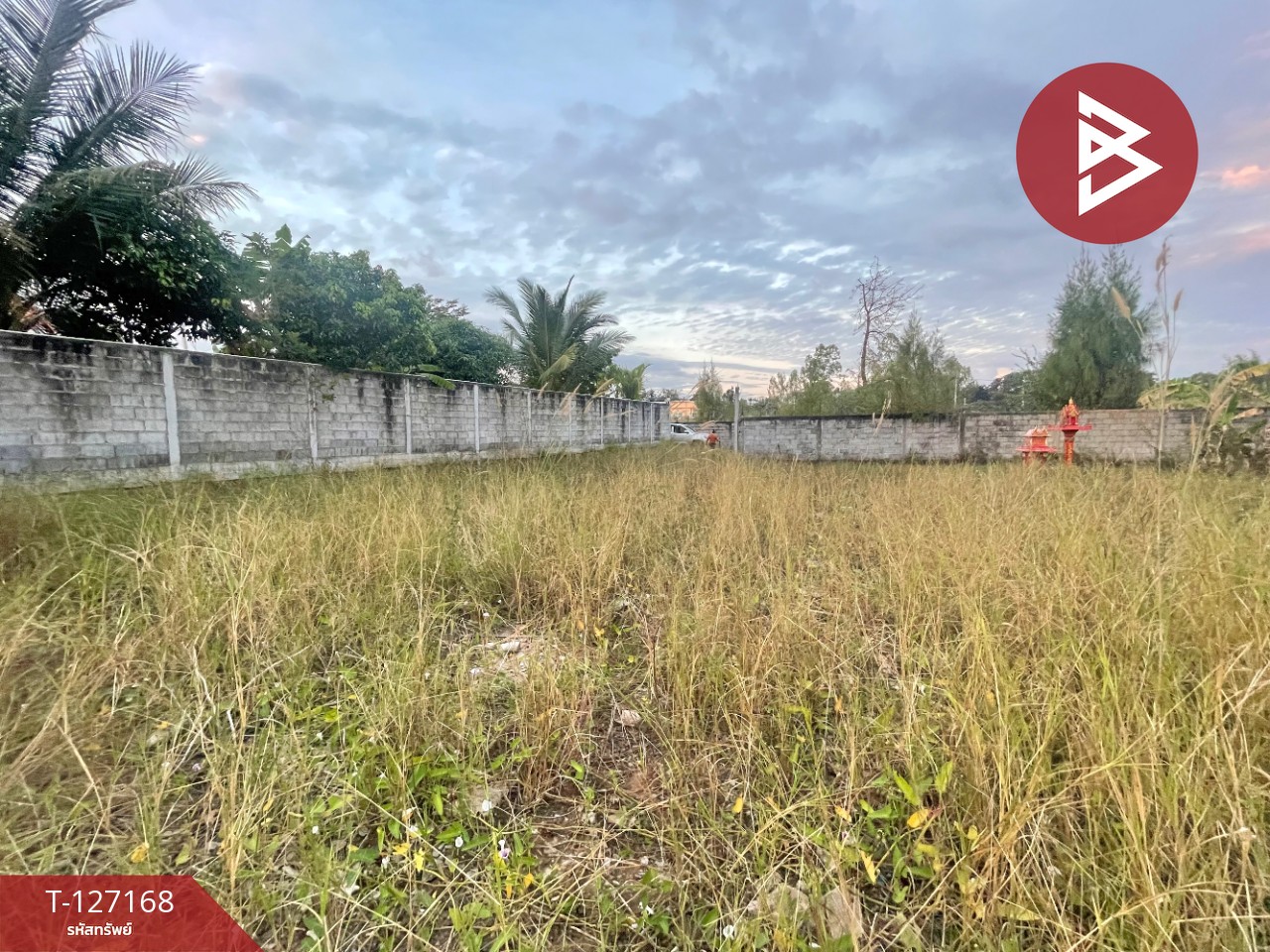 ขายที่ดินแปลงสวย เนื้อที่ 1 ไร่ 6.5 ตารางวา อ.บ้านไผ่ จ.ขอนแก่น  แหล่งชุมชนหนาแน่น 4