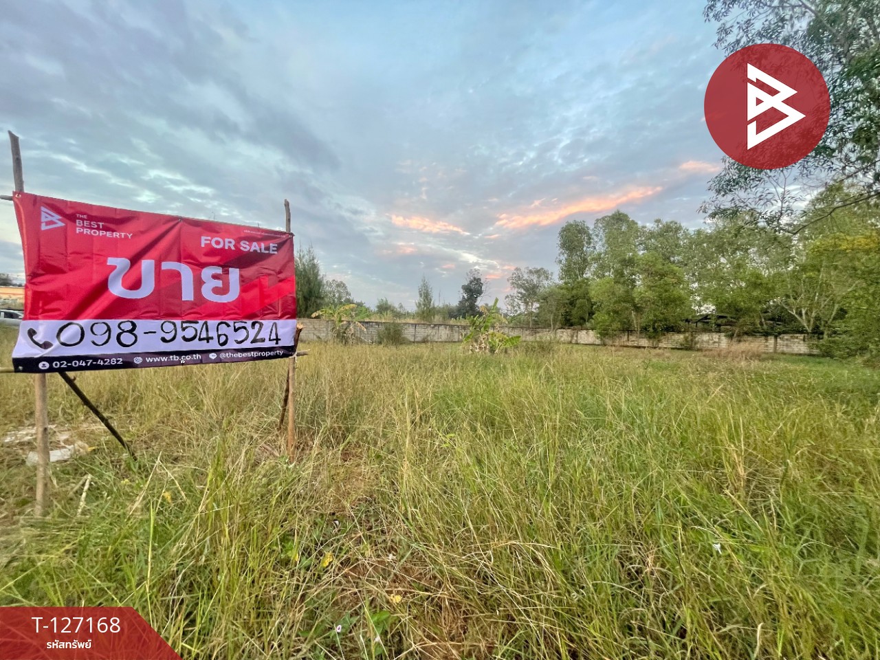 ขายที่ดินแปลงสวย เนื้อที่ 1 ไร่ 6.5 ตารางวา อ.บ้านไผ่ จ.ขอนแก่น  แหล่งชุมชนหนาแน่น 2