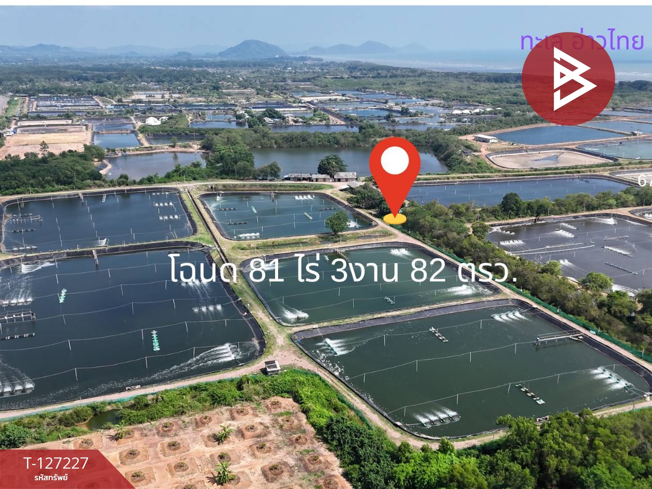 ขายที่ดินติดทะเล เนื้อที่ 81 ไร่ 3 งาน 82 ตร.วา นายายอาม จันทบุรี 2