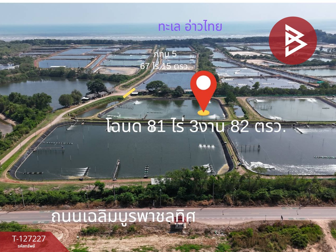 ขายที่ดินติดทะเล เนื้อที่ 81 ไร่ 3 งาน 82 ตร.วา นายายอาม จันทบุรี 5