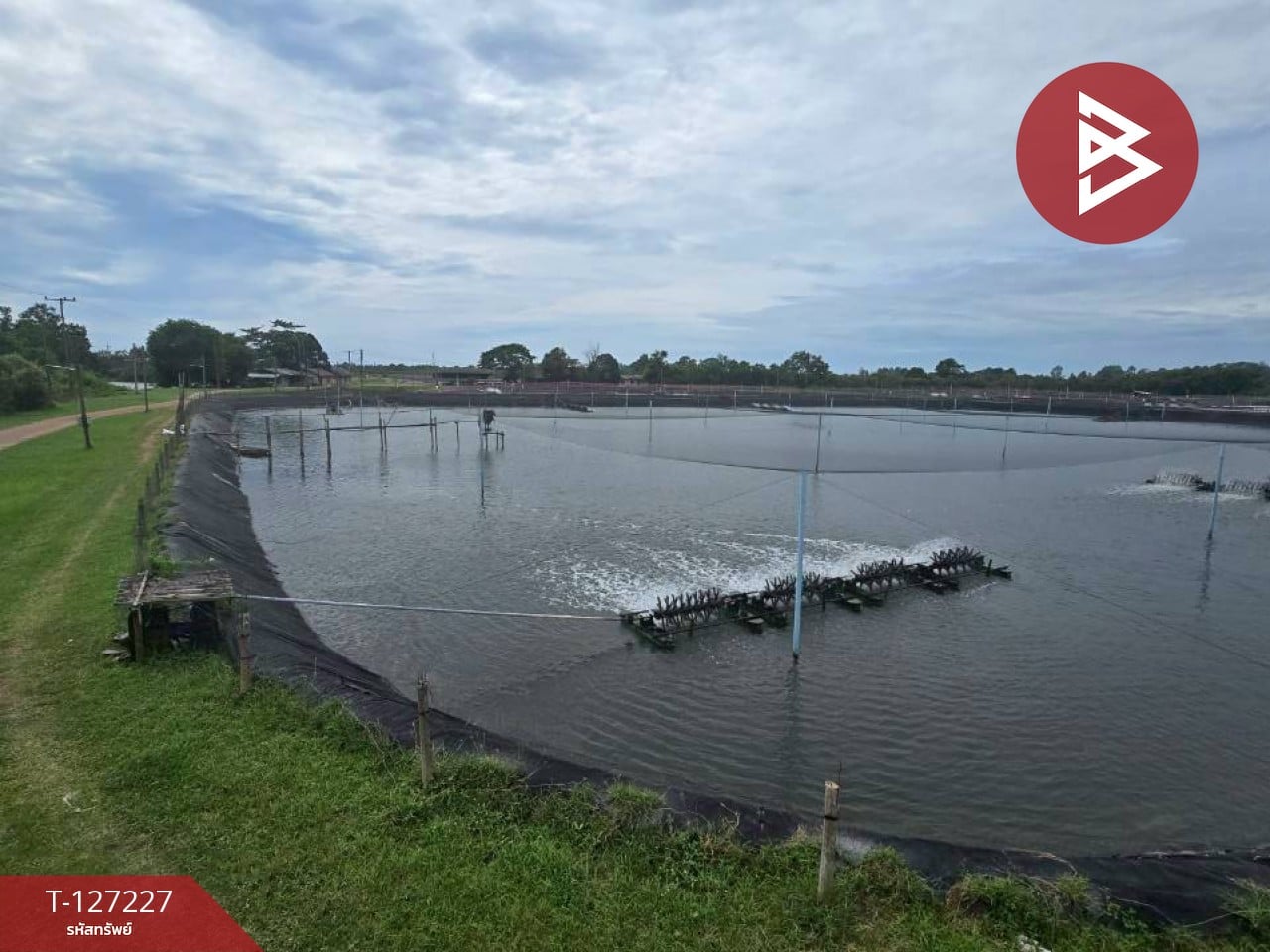 ขายที่ดินติดทะเล เนื้อที่ 81 ไร่ 3 งาน 82 ตร.วา นายายอาม จันทบุรี 13