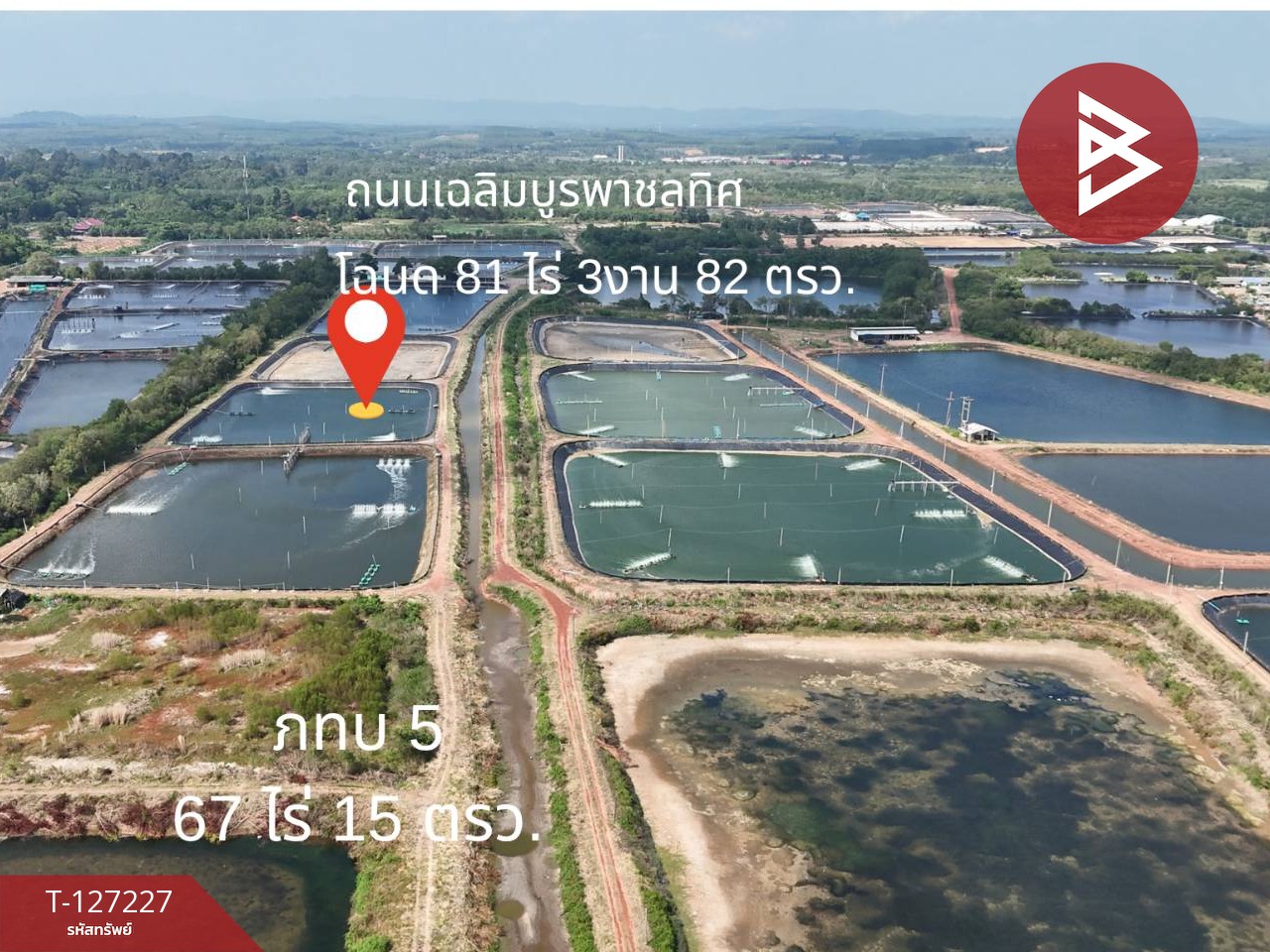 ขายที่ดินติดทะเล เนื้อที่ 81 ไร่ 3 งาน 82 ตร.วา นายายอาม จันทบุรี 4