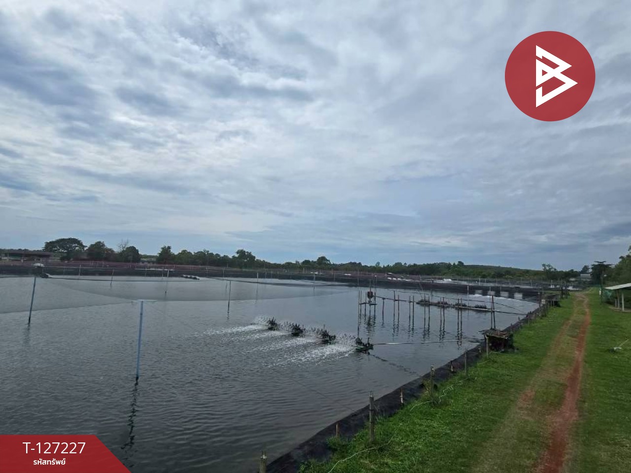 ขายที่ดินติดทะเล เนื้อที่ 81 ไร่ 3 งาน 82 ตร.วา นายายอาม จันทบุรี 12