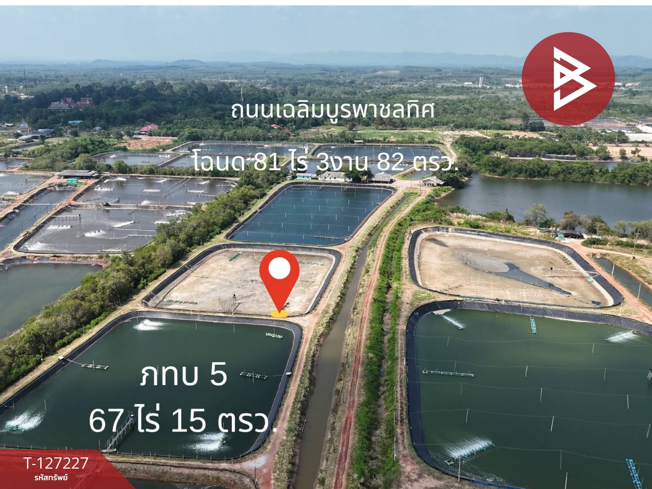 ขายที่ดินติดทะเล เนื้อที่ 81 ไร่ 3 งาน 82 ตร.วา นายายอาม จันทบุรี 3