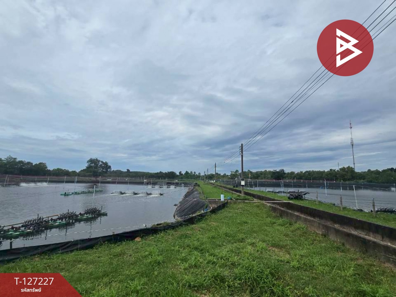 ขายที่ดินติดทะเล เนื้อที่ 81 ไร่ 3 งาน 82 ตร.วา นายายอาม จันทบุรี 9