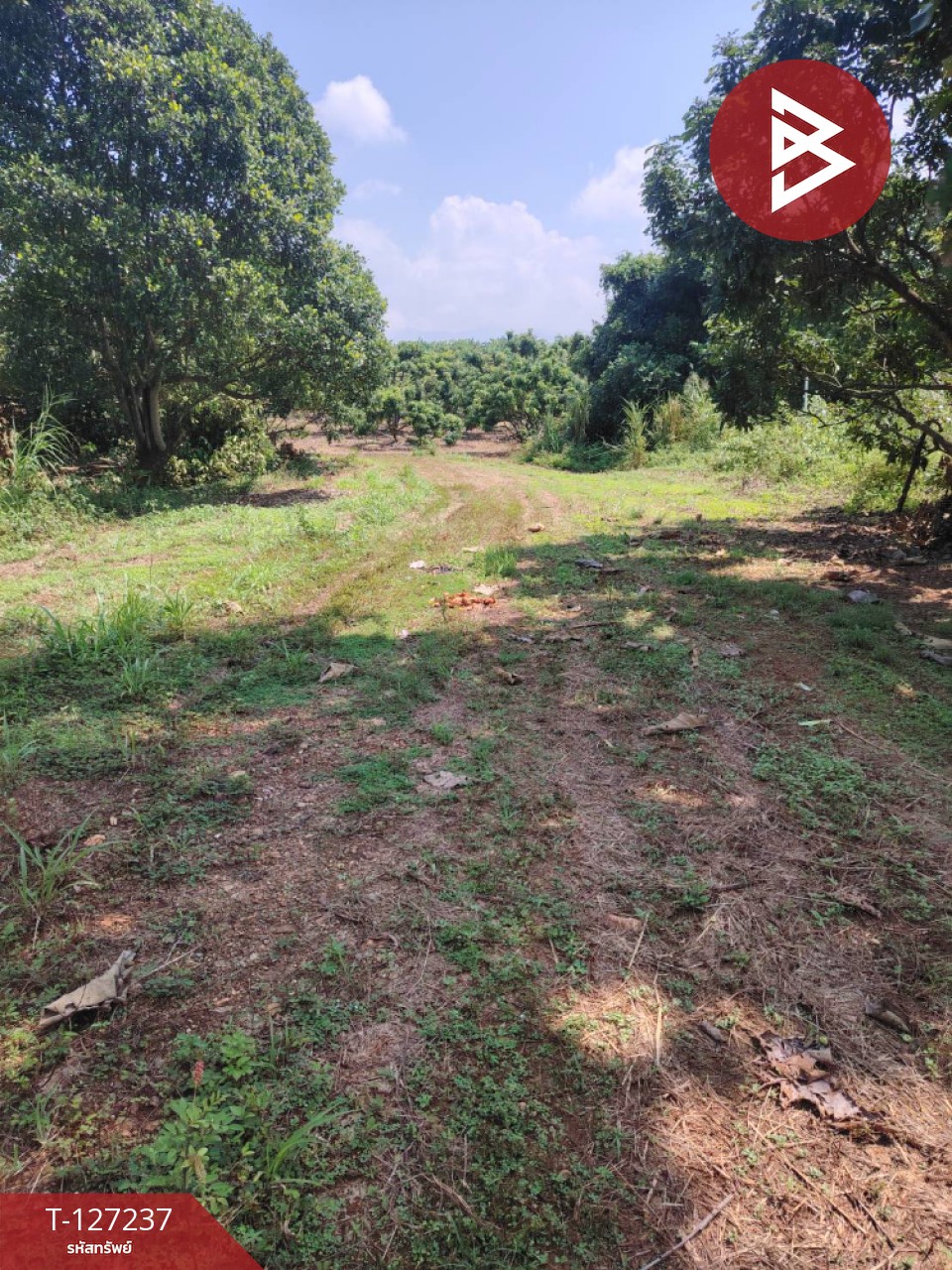 ขายที่ดิน เนื้อที่ 9 ไร่ 2 งาน 44 ตร.วา พร้าว เชียงใหม่ 9