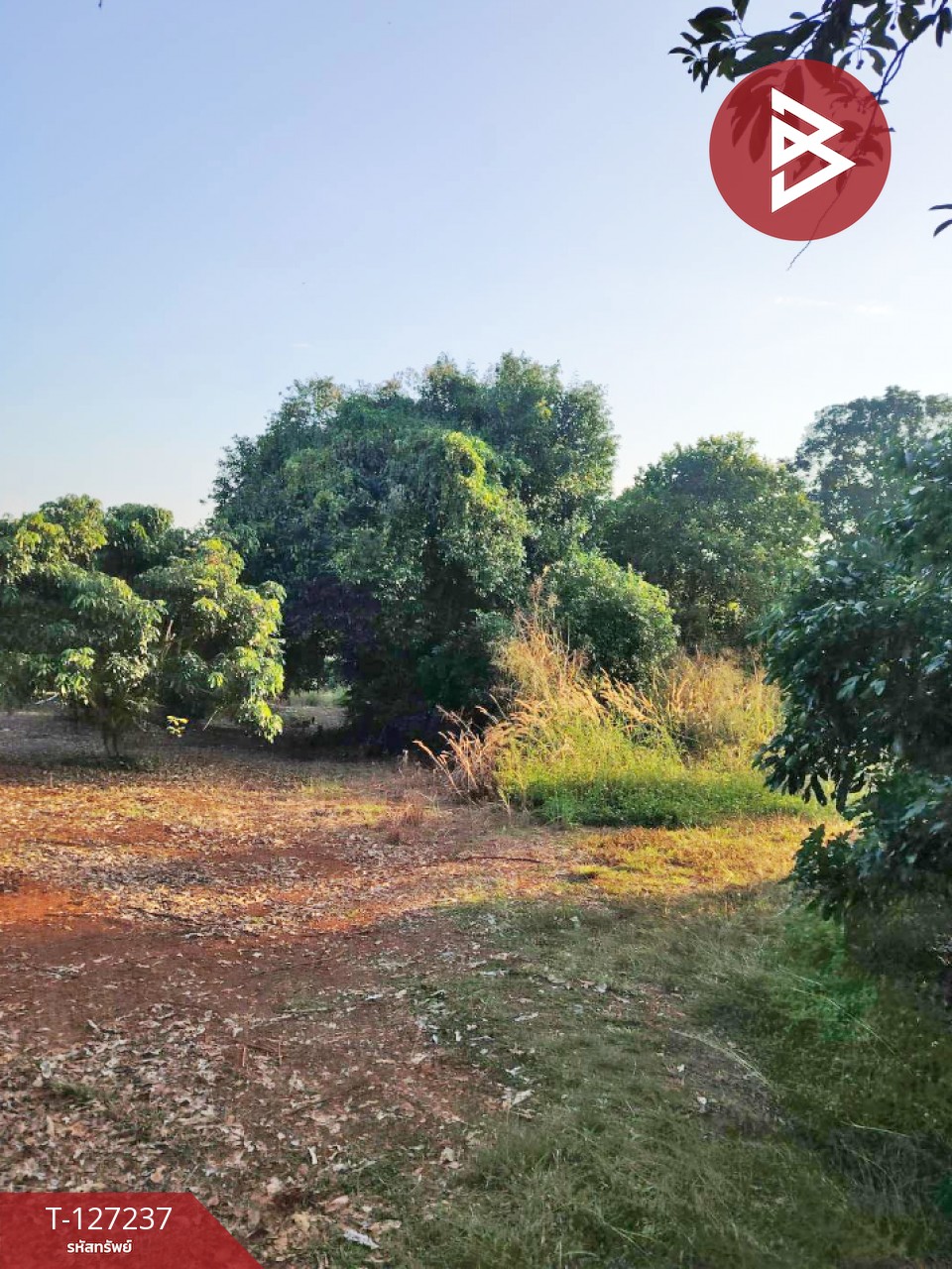 ขายที่ดิน เนื้อที่ 9 ไร่ 2 งาน 44 ตร.วา พร้าว เชียงใหม่ 3