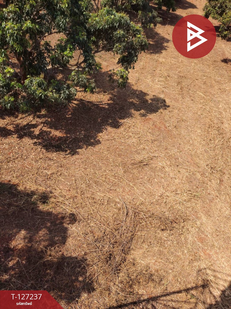 ขายที่ดิน เนื้อที่ 9 ไร่ 2 งาน 44 ตร.วา พร้าว เชียงใหม่ 13