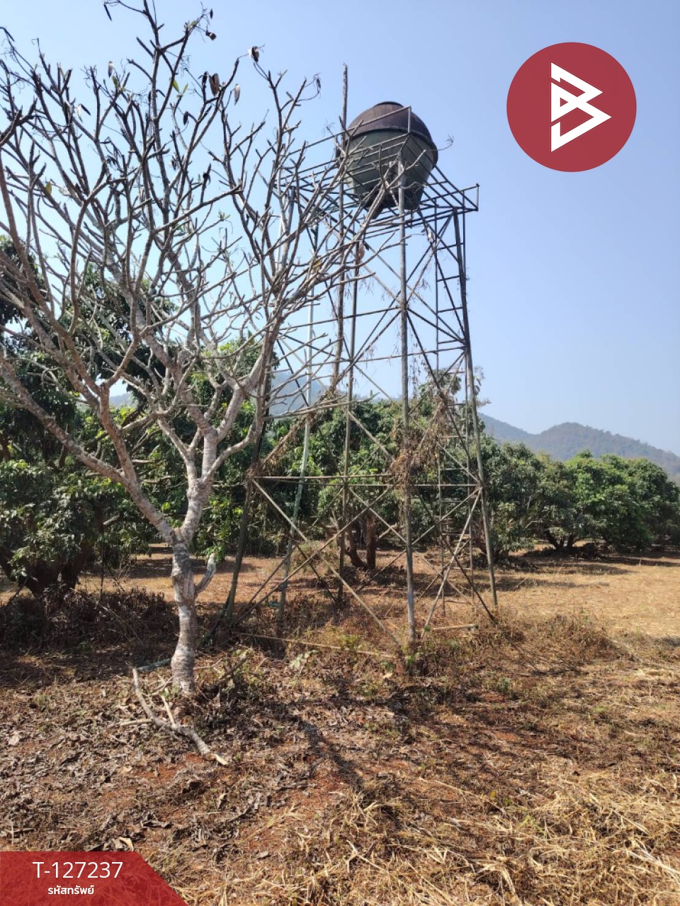 ขายที่ดิน เนื้อที่ 9 ไร่ 2 งาน 44 ตร.วา พร้าว เชียงใหม่ 15