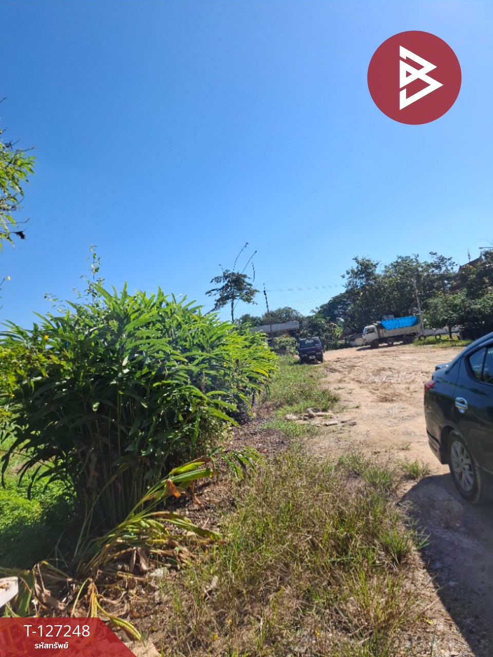 ขายโกดังพร้อมที่ดิน เนื้อที่ 3 งาน 58 ตร.วา เทิง เชียงราย 4