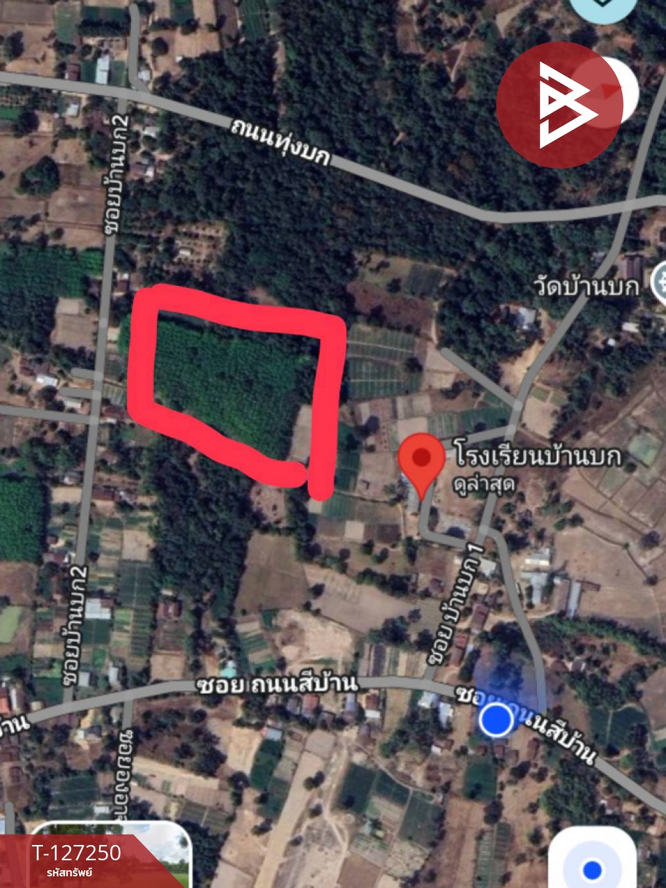 ขายที่ดิน เนื้อที่ 5 ไร่ 2 งาน 12 ตร.วา ม่วงสามสิบ อุบลราชธานี 5