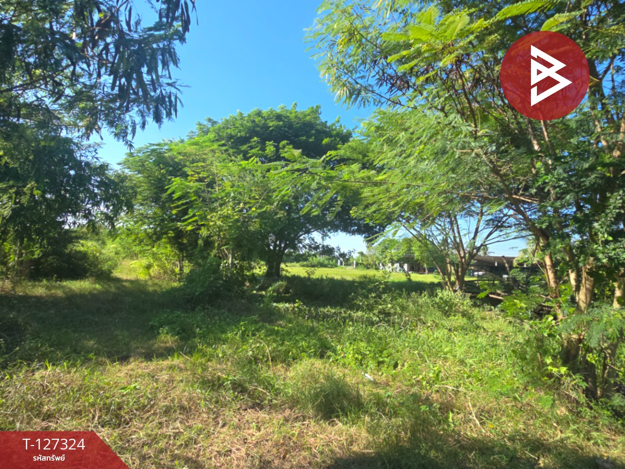 ขายที่ดินเปล่า เนื้อที่ 3 ไร่ โพรงมะเดื่อ นครปฐม 8