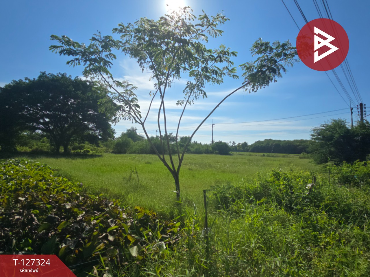 ขายที่ดินเปล่า เนื้อที่ 3 ไร่ โพรงมะเดื่อ นครปฐม 6