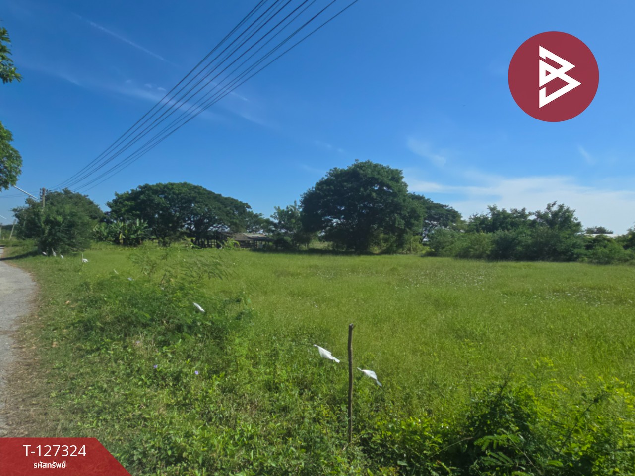 ขายที่ดินเปล่า เนื้อที่ 3 ไร่ โพรงมะเดื่อ นครปฐม 7