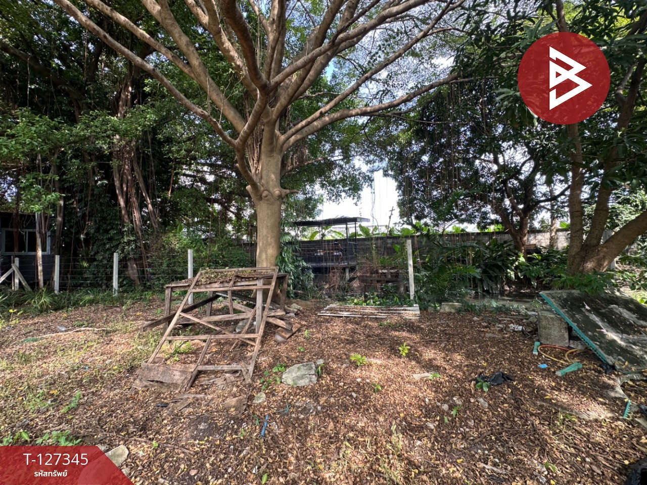 ขายที่ดิน เนื้อที่ 3 งาน 75 ตร.วา พระโขนง กรุงเทพมหานคร 13