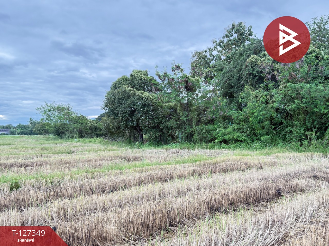 ขายที่ดินที่นา เนื้อที่ 4 ไร่ 3 งาน 62 ตารางวา สันกำแพง เชียงใหม่ 5