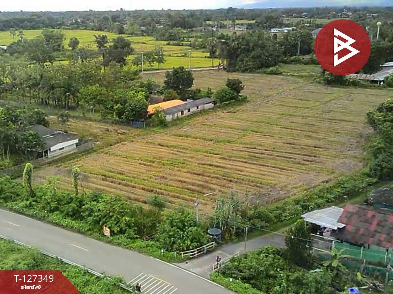 ขายที่ดินที่นา เนื้อที่ 4 ไร่ 3 งาน 62 ตารางวา สันกำแพง เชียงใหม่ 1