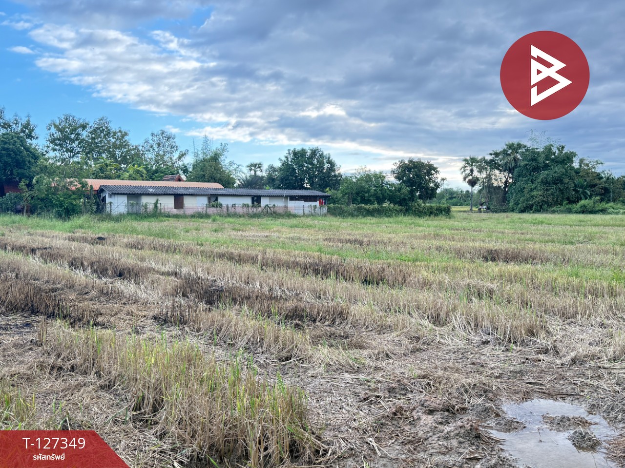 ขายที่ดินที่นา เนื้อที่ 4 ไร่ 3 งาน 62 ตารางวา สันกำแพง เชียงใหม่ 6