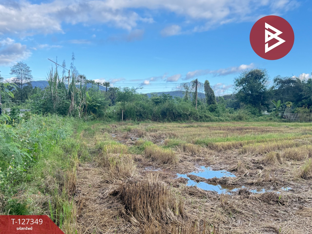 ขายที่ดินที่นา เนื้อที่ 4 ไร่ 3 งาน 62 ตารางวา สันกำแพง เชียงใหม่ 8