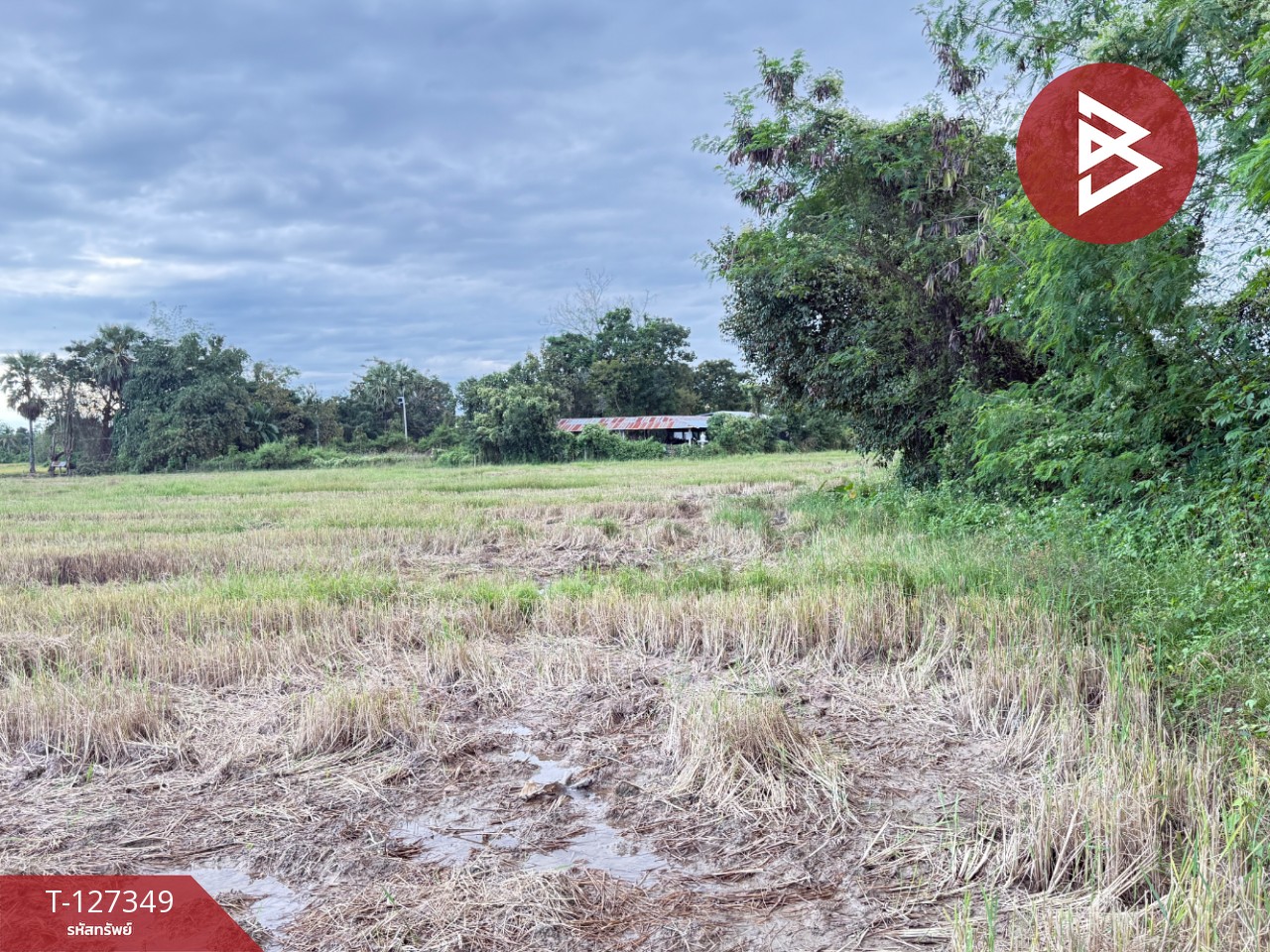 ขายที่ดินที่นา เนื้อที่ 4 ไร่ 3 งาน 62 ตารางวา สันกำแพง เชียงใหม่ 10