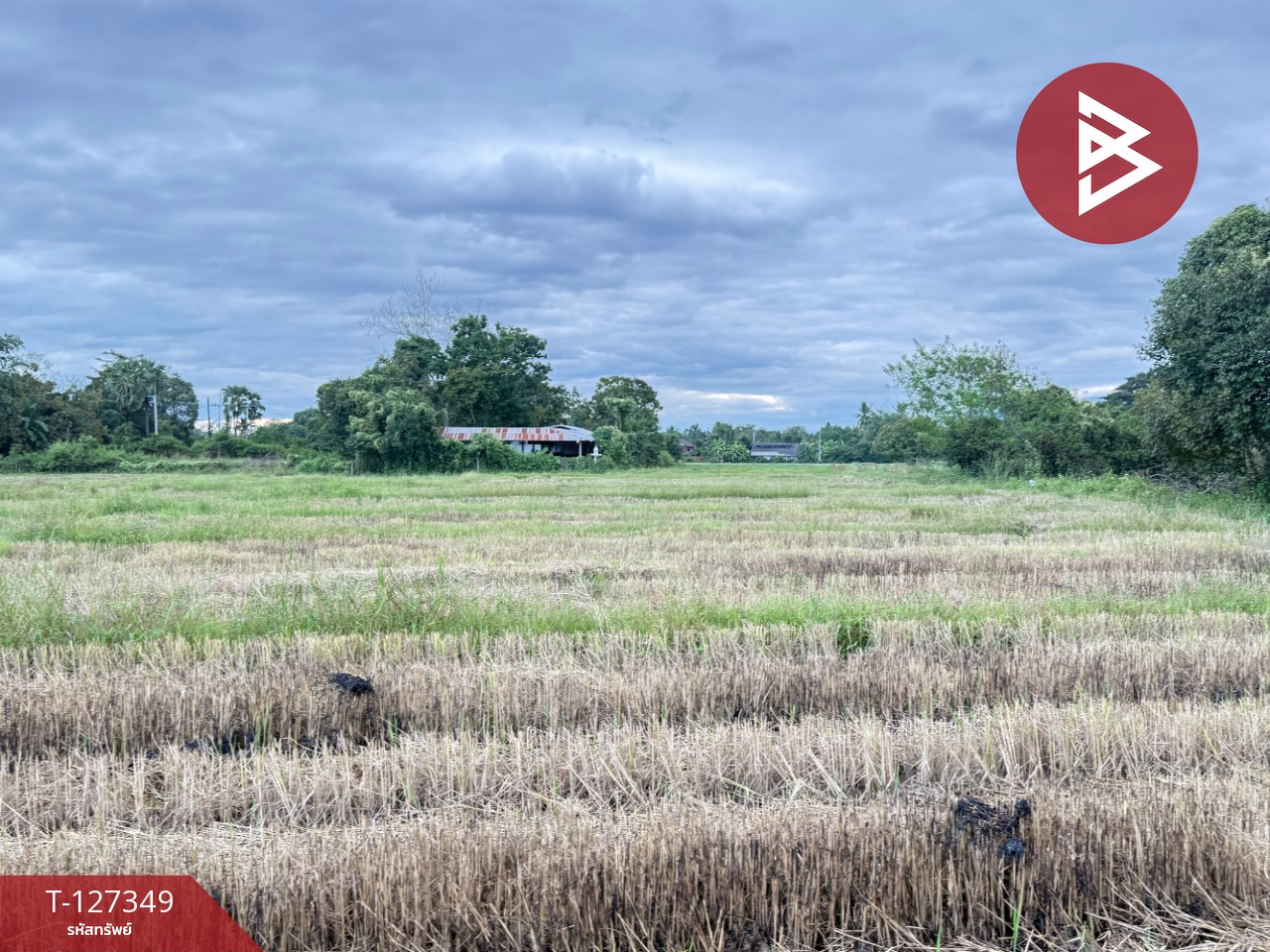 ขายที่ดินที่นา เนื้อที่ 4 ไร่ 3 งาน 62 ตารางวา สันกำแพง เชียงใหม่ 3