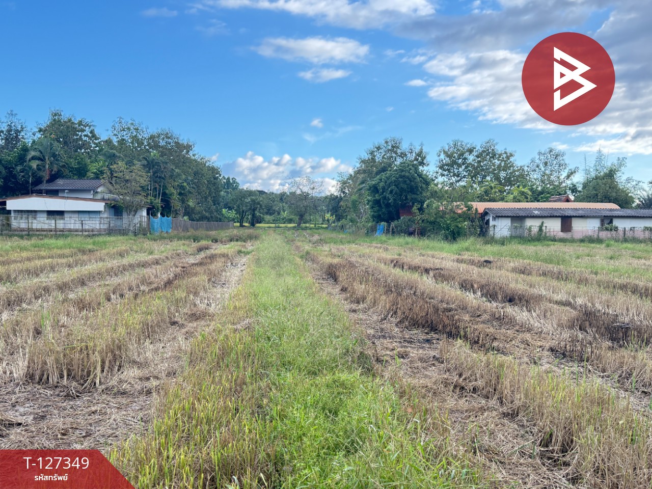 ขายที่ดินที่นา เนื้อที่ 4 ไร่ 3 งาน 62 ตารางวา สันกำแพง เชียงใหม่ 7