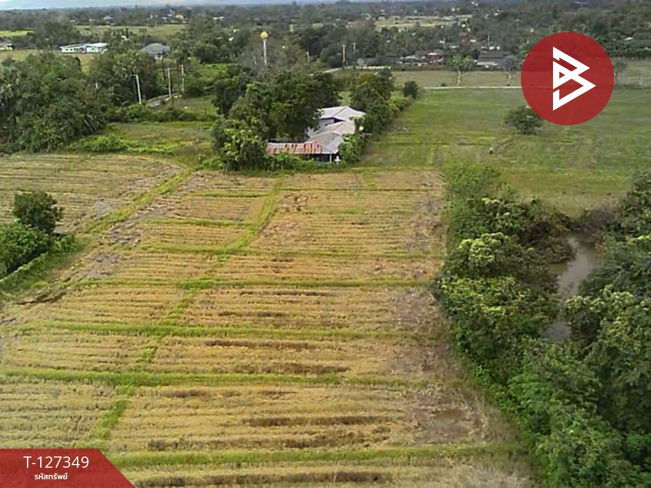 ขายที่ดินที่นา เนื้อที่ 4 ไร่ 3 งาน 62 ตารางวา สันกำแพง เชียงใหม่ 2