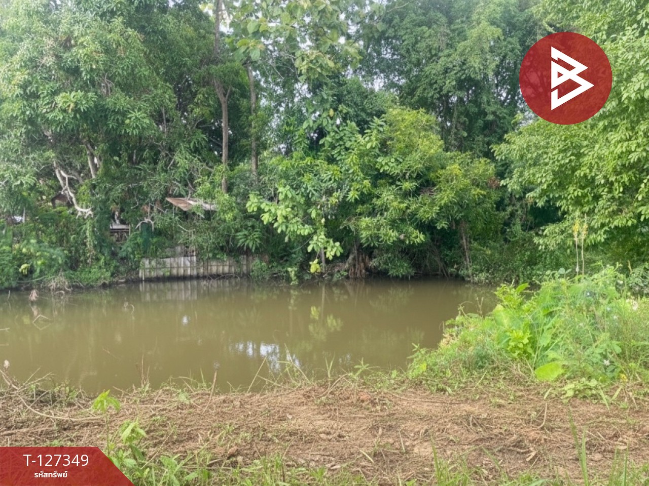 ขายที่ดินที่นา เนื้อที่ 4 ไร่ 3 งาน 62 ตารางวา สันกำแพง เชียงใหม่ 12